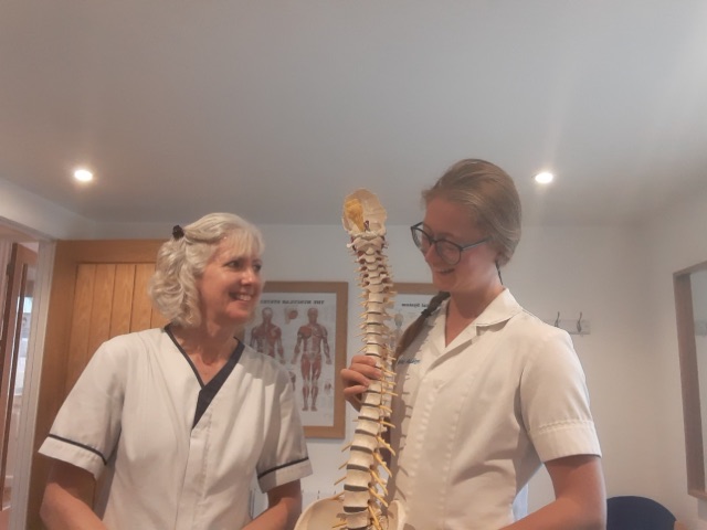 Two people (Fenja Hansen and Julia Young (Osteopaths)). Fenja is holding a model of a spine, and Julia is looking at it. 